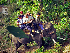 Olifantensafari in het Chitwan National Park