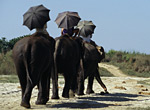 Avontuur en natuur in Nepal