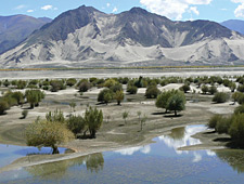 De uitgestrekte vlaktes in de Tsedang vallei